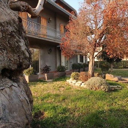 Magnolia Hotel Savignano sul Rubicone Luaran gambar