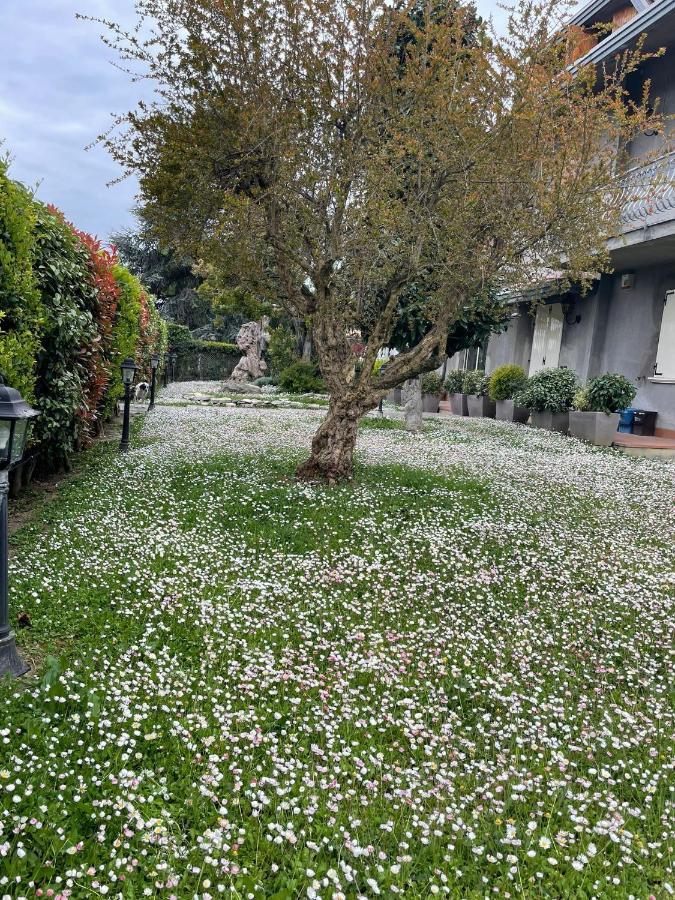 Magnolia Hotel Savignano sul Rubicone Luaran gambar
